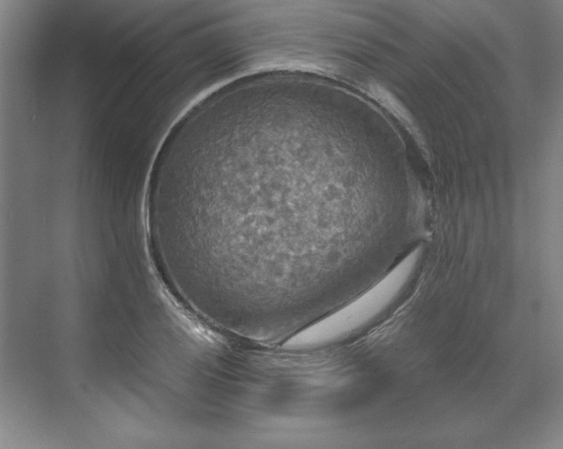 X0000071761028200607071230