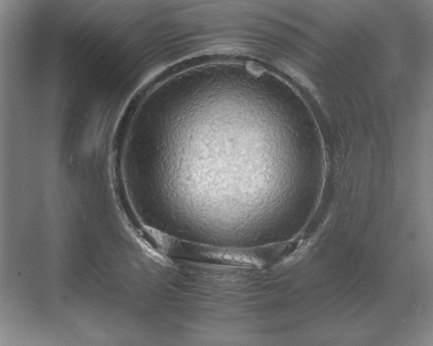 X0000071761029200607071230