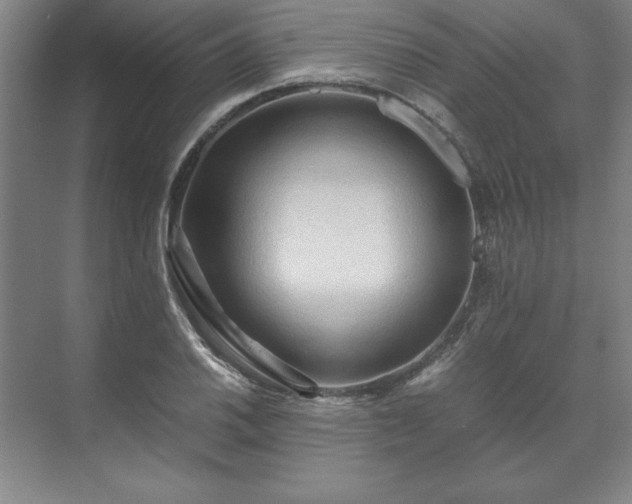 X0000071761030200607071230