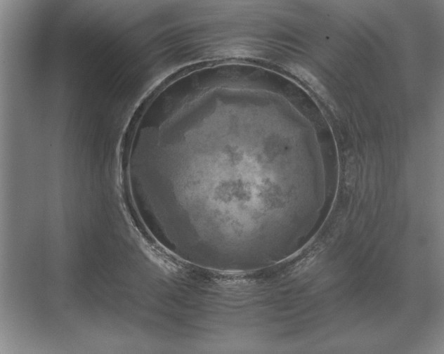 X0000071761031200607071230