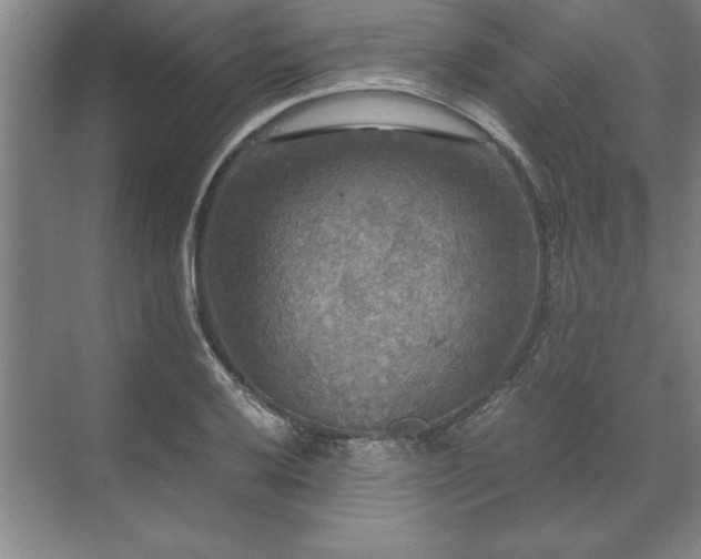 X0000071761032200607071230