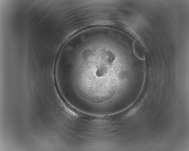 X0000071761033200607071230