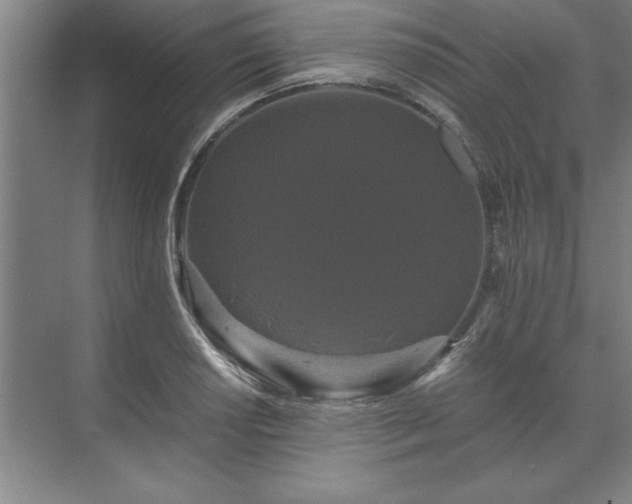 X0000071761034200607071230