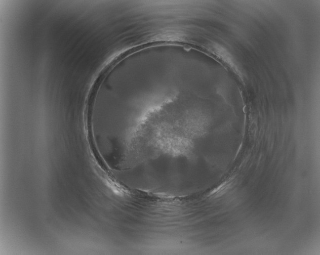 X0000071761035200607071230