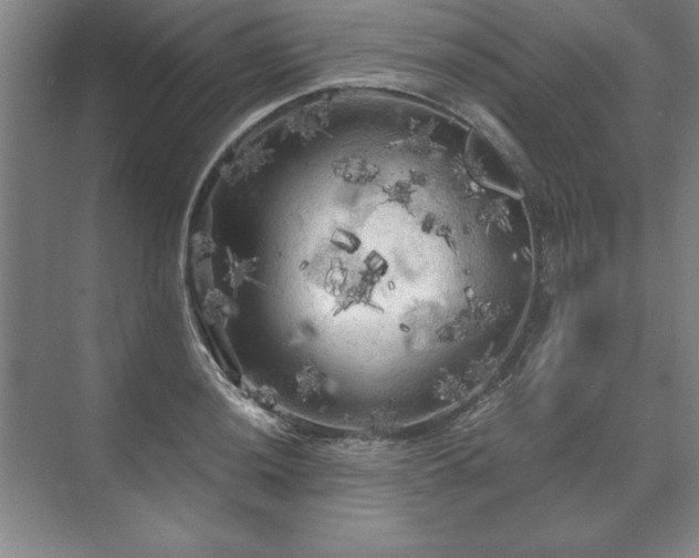 X0000071761036200607071230