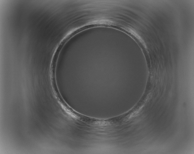 X0000071761037200607071230