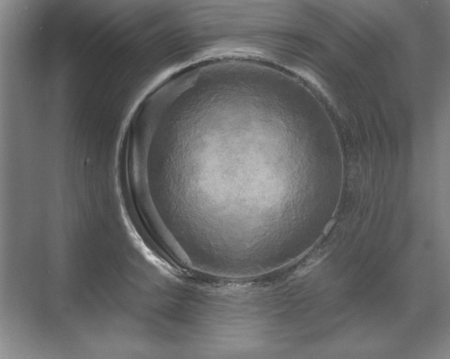 X0000071761038200607071231