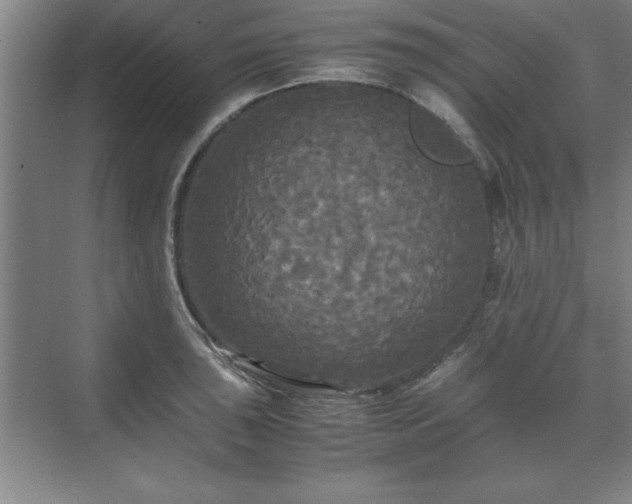 X0000071761043200607071231