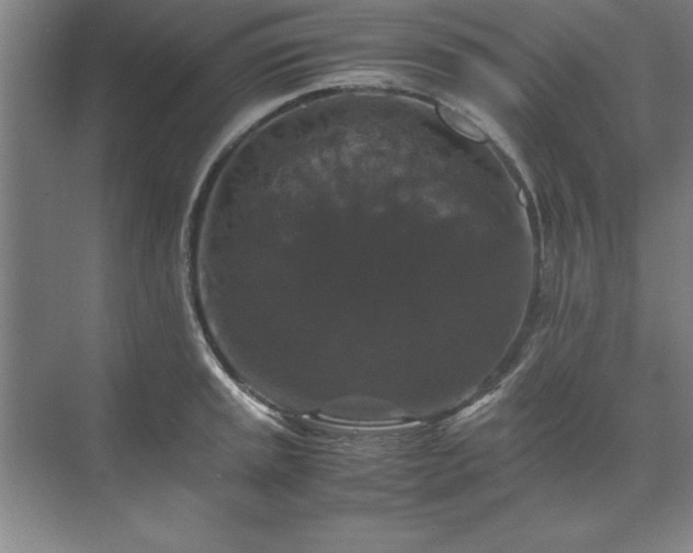 X0000071761045200607071231