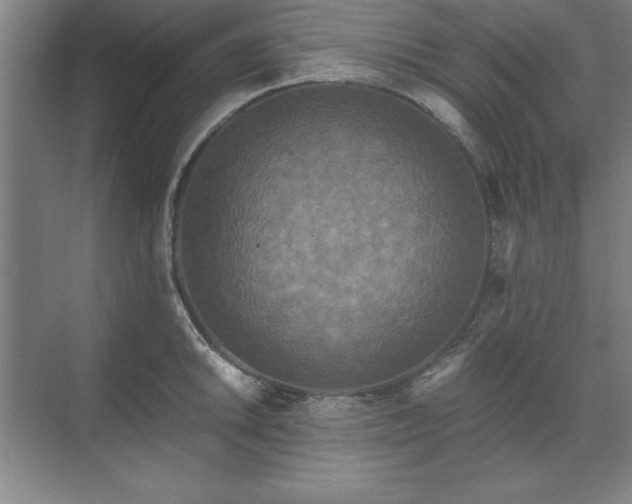 X0000071761046200607071231