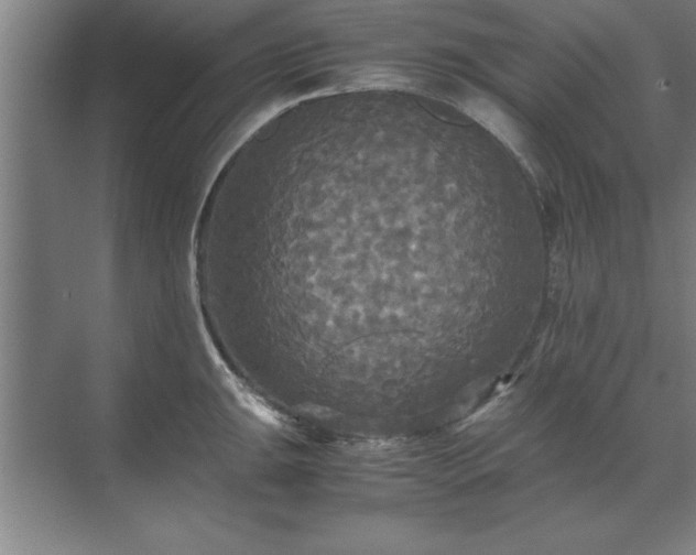 X0000071761047200607071231