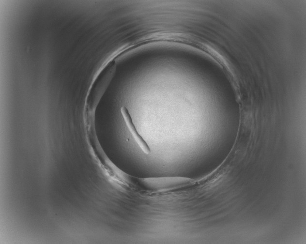 X0000071761050200607071231