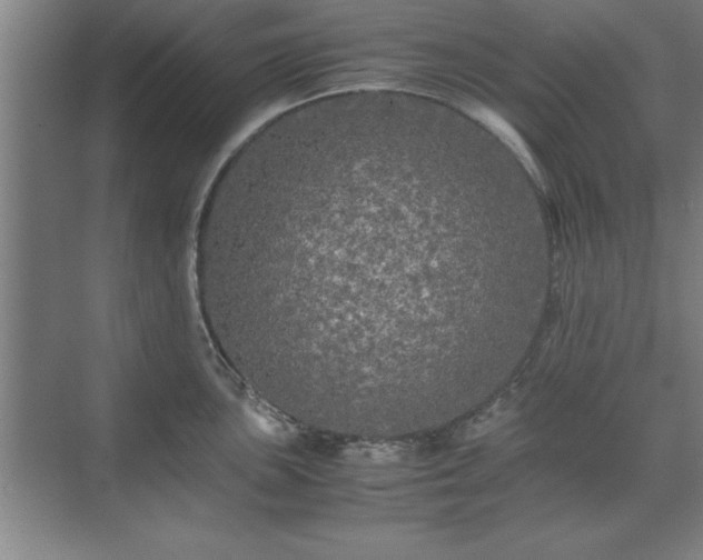 X0000071761051200607071231