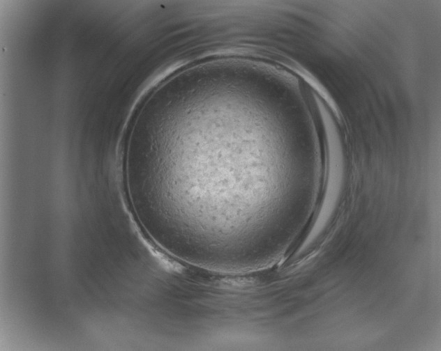 X0000071761053200607071231