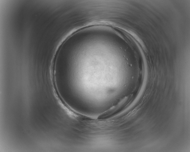 X0000071761054200607071231