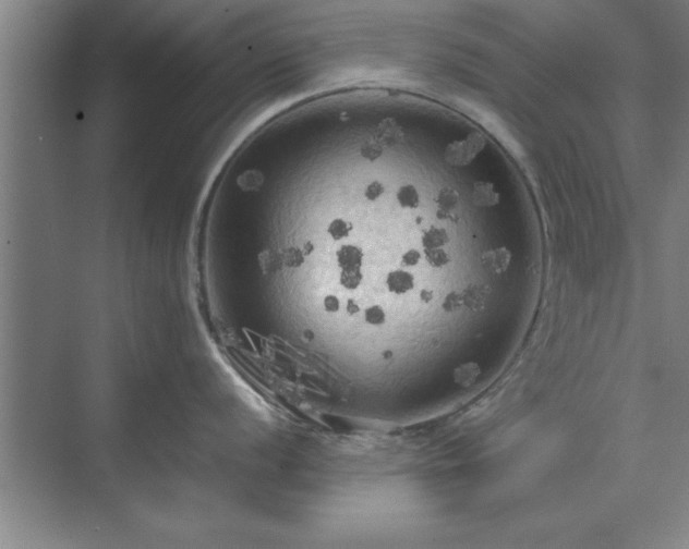 X0000071761056200607071231