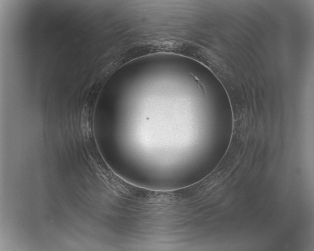 X0000071761058200607071230