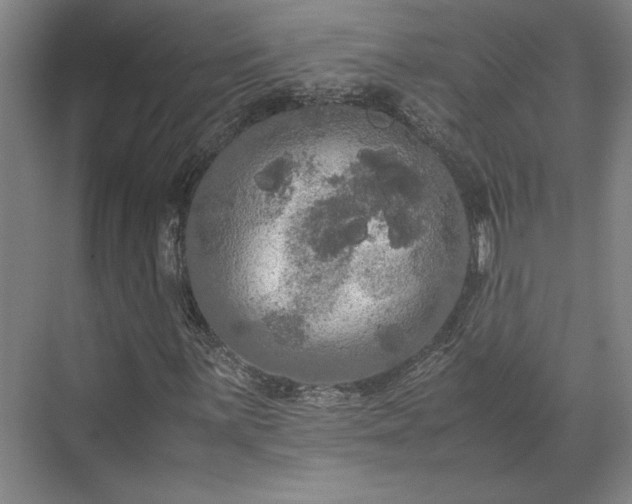 X0000071761059200607071230