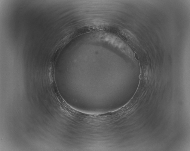 X0000071761060200607071230