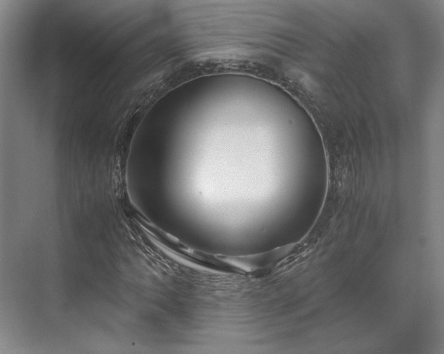 X0000071761062200607071230