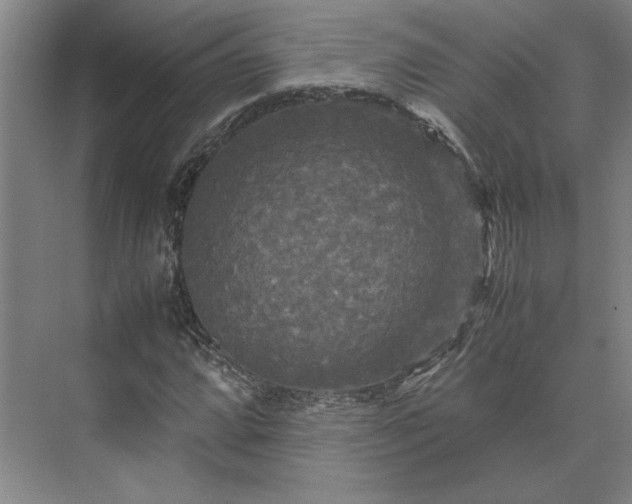 X0000071761064200607071230