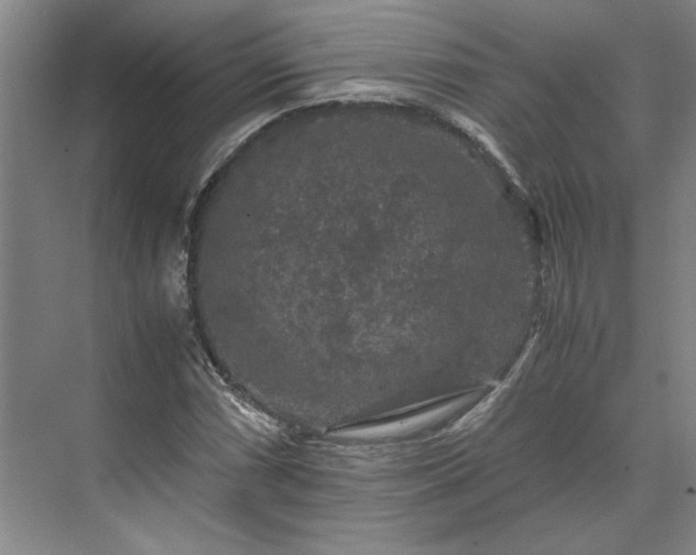 X0000071761066200607071230