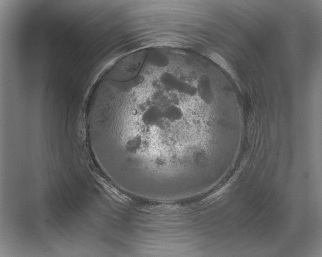 X0000071761067200607071230