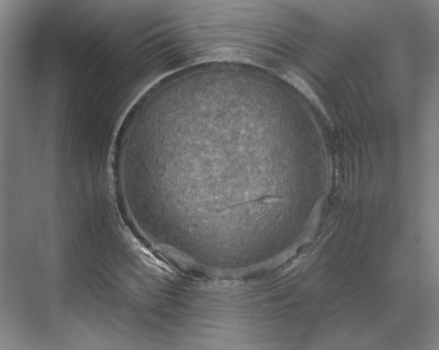 X0000071761068200607071230