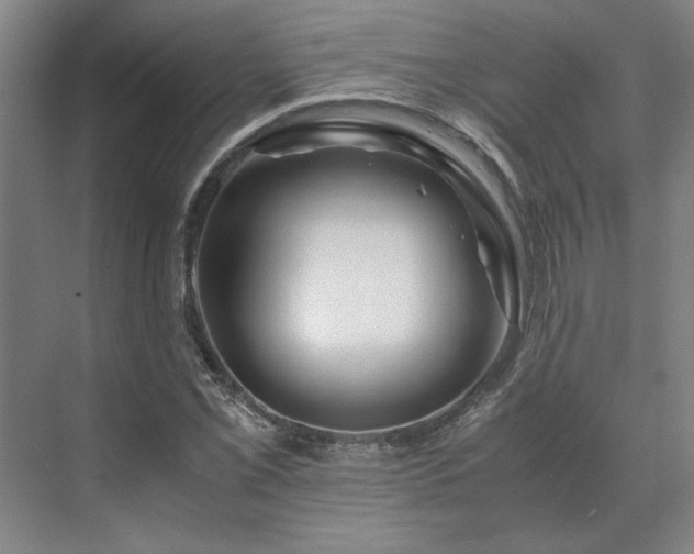 X0000071761069200607071230