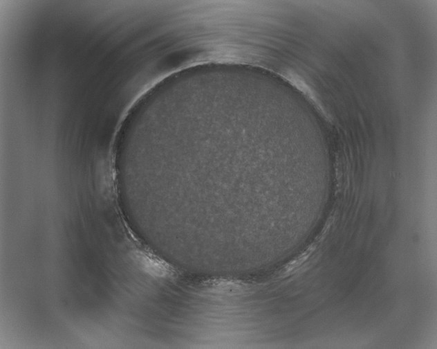 X0000071761070200607071230