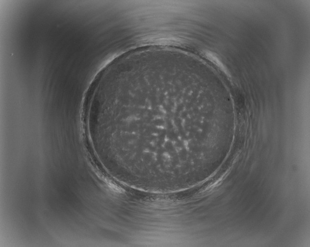 X0000071761071200607071230