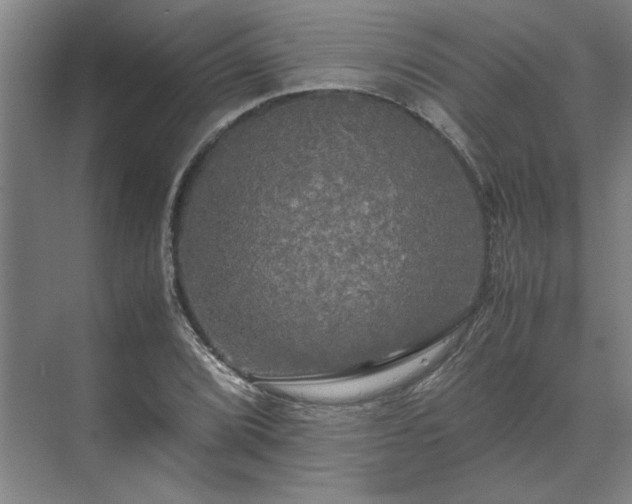 X0000071761072200607071230