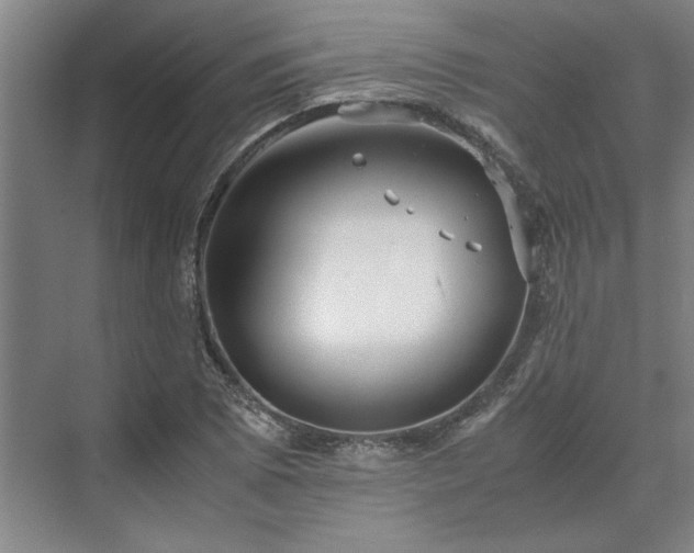 X0000071761073200607071230