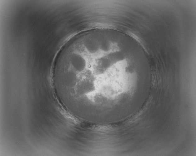 X0000071761074200607071230