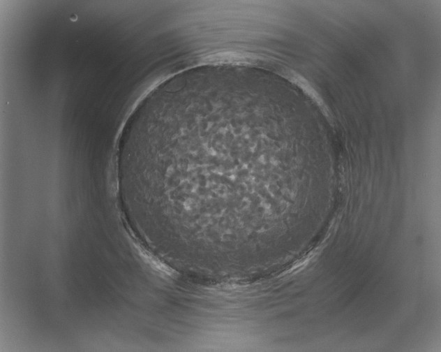 X0000071761075200607071230