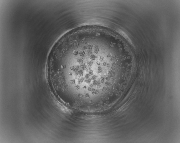 X0000071761076200607071230