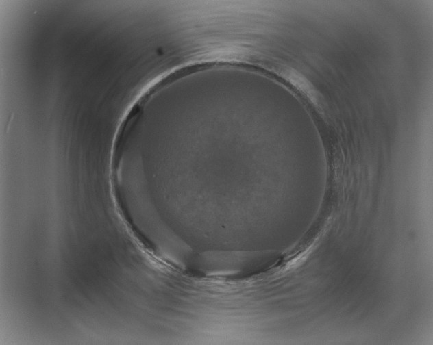 X0000071761077200607071230