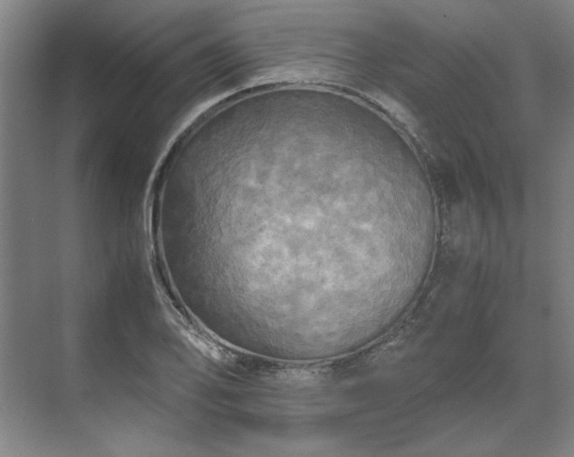 X0000071761078200607071230