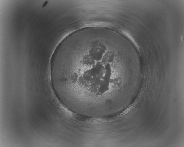 X0000071761079200607071230