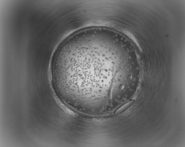 X0000071761080200607071230