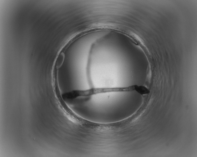 X0000071761082200607071230