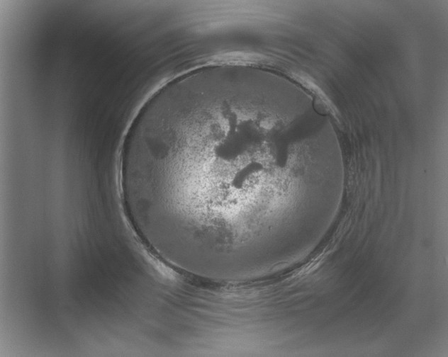 X0000071761083200607071230