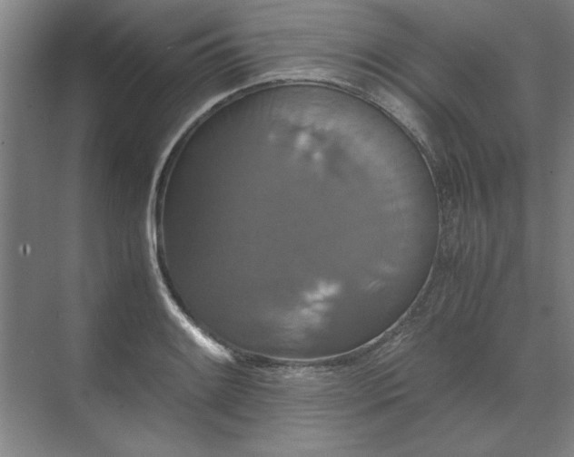 X0000071761084200607071230