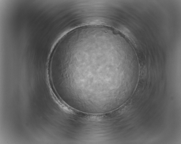 X0000071761086200607071230