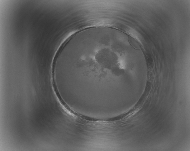 X0000071761087200607071229