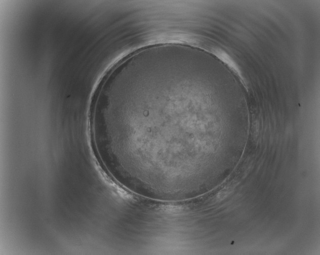 X0000071761088200607071229