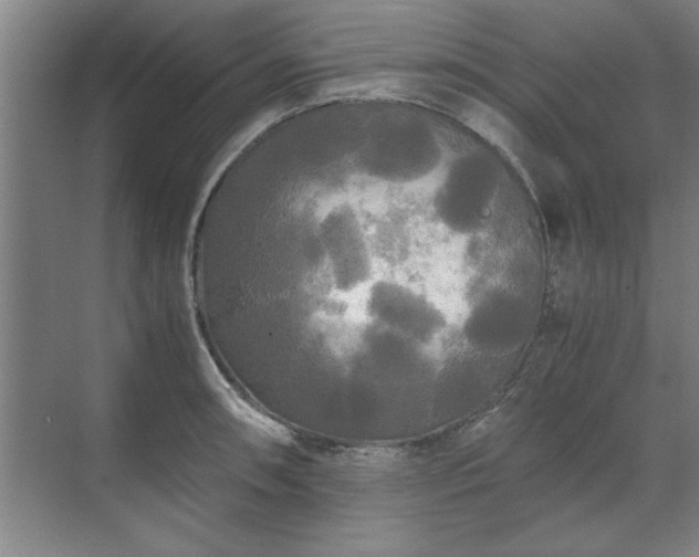 X0000071761090200607071229