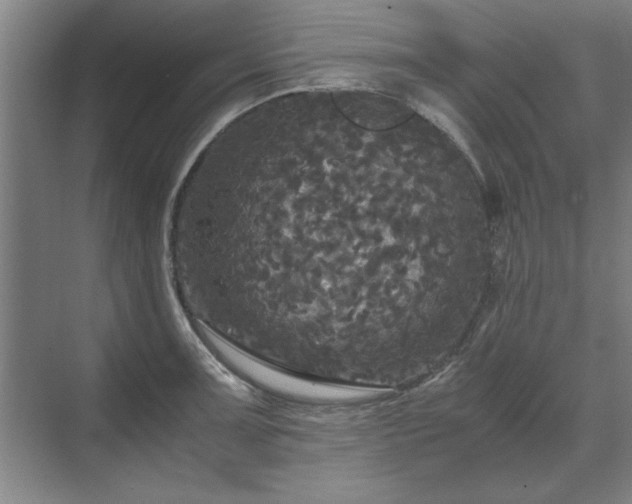 X0000071761091200607071229