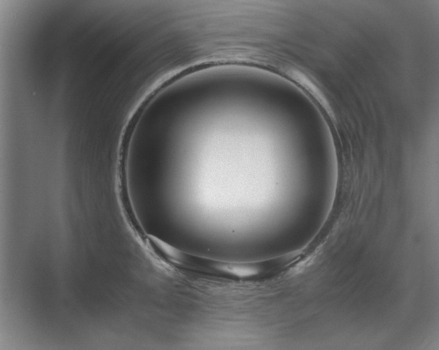 X0000071761093200607071229