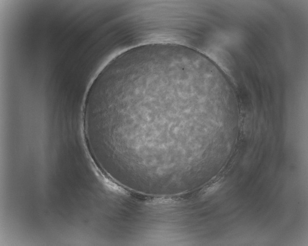 X0000071761094200607071229